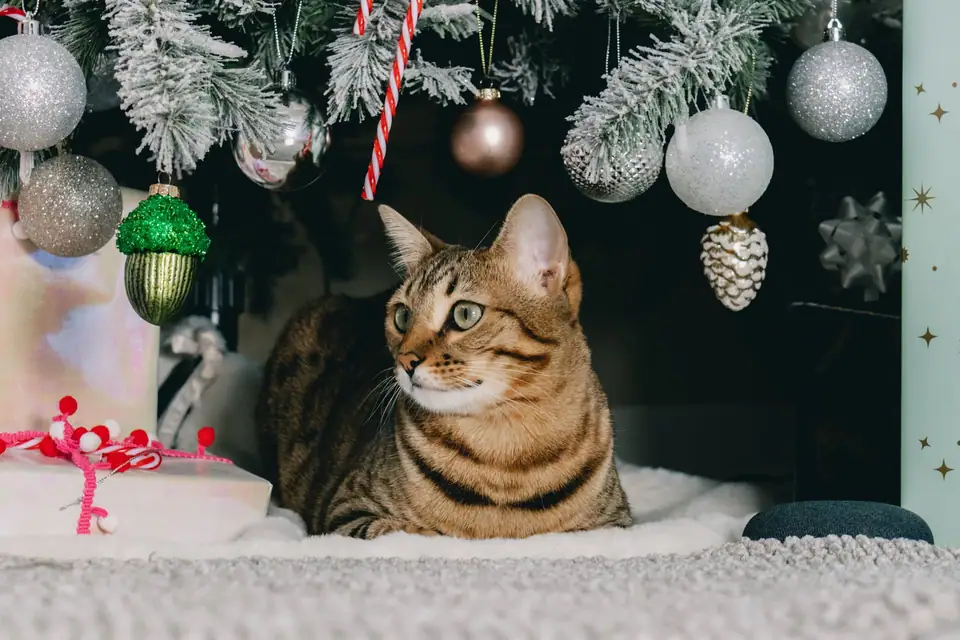 Tabby cat sitting under a decorated Christmas tree hung with glass ornaments